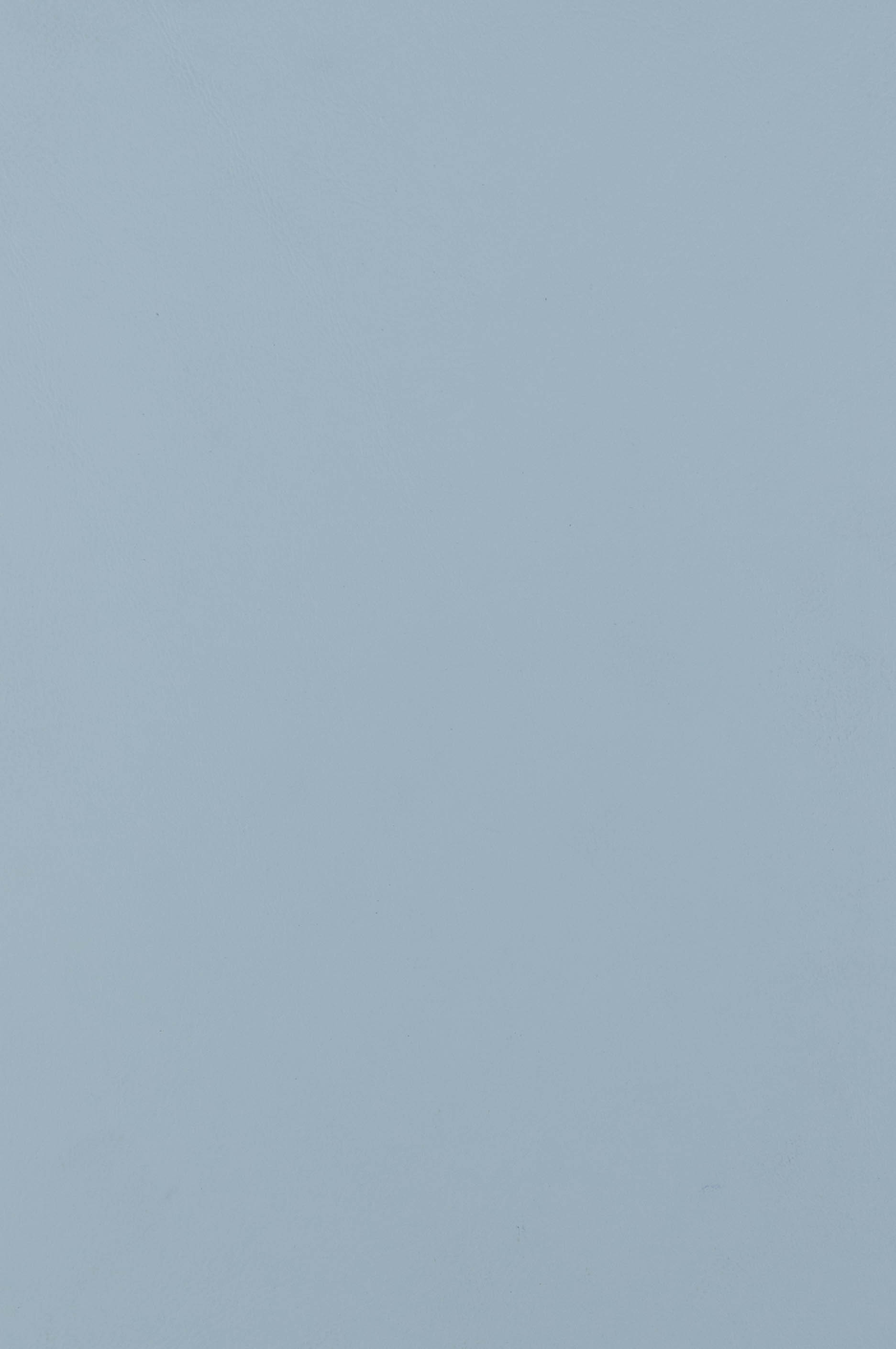 Fuzzy White Formulation B